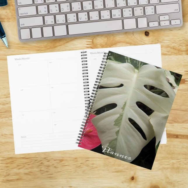Agenda Folha Floral Variegada de Monstera (In Situ)