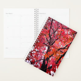 Agenda Folhas cor-de-rosa e laranja