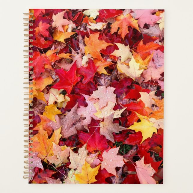 Agenda Folhas de outono Coloridas (Frente)