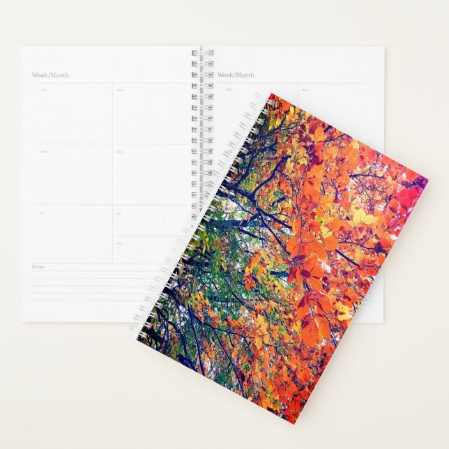 Agenda Folhas verdes, amarelas e laranja (Exibição)