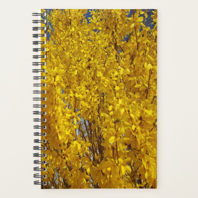Agenda Forsythia Bush em Fecho (Frente)