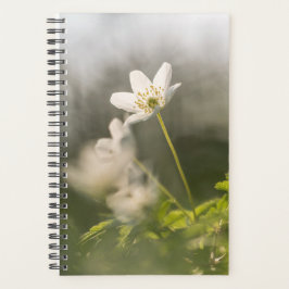 Agenda Foto da Natureza da Flor