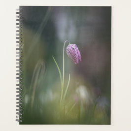 Agenda Foto da Natureza do Chess Flower