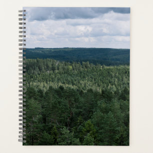 Agenda Foto da paisagem florestal nórdica aérea