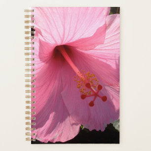 Agenda Foto de Arte Refinado de Hibisco Rosa Havaiano