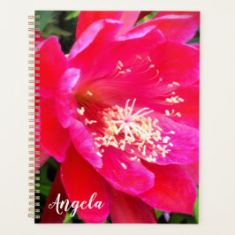 Agenda Foto de Flor Rosa Tropical