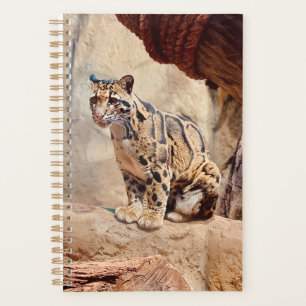 Agenda foto de leopardo nebuloso natureza vida selvagem e