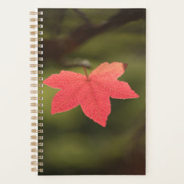 Agenda Foto de Natureza Folha Vermelha