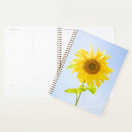 Agenda Foto de Sunflower Nature