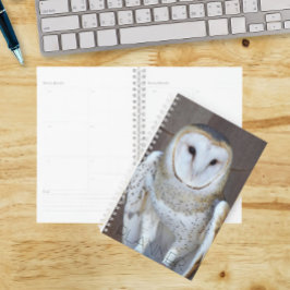 Agenda Foto do Raptor Barn Owl