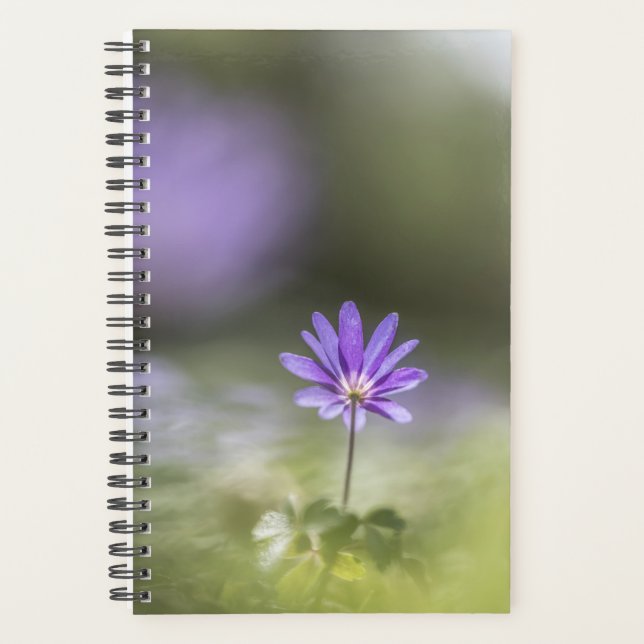 Agenda Foto Windflower Nature (Frente)