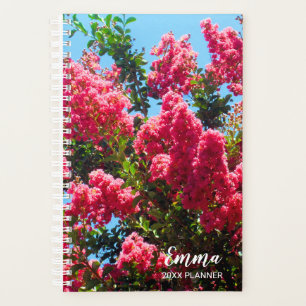 Agenda Fotografia de Flores de Árvore Rosa-Colza