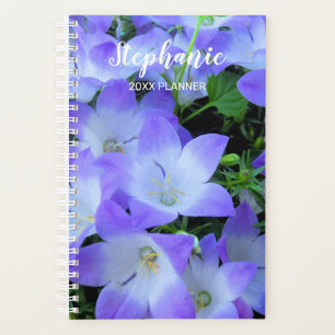 Agenda Fotografia de Sininhos Roxos