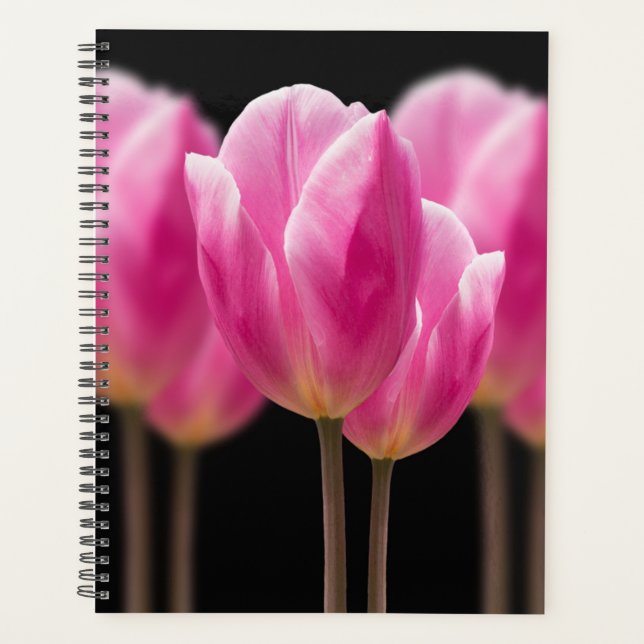 Agenda Fotografia de Tulipas e Flores Rosa (Frente)