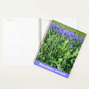 Agenda Fotografia Violet Bluebells - Herschberg, Alemanha