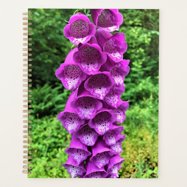 Agenda Foxglove Flowers, Oregon (Frente)