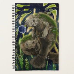 Agenda Frágil Saldo de Manateio