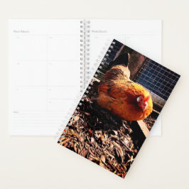Agenda Frango laranja