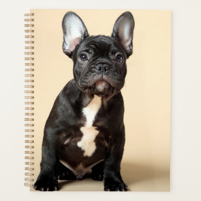 Agenda Frenchie Puppy (Frente)