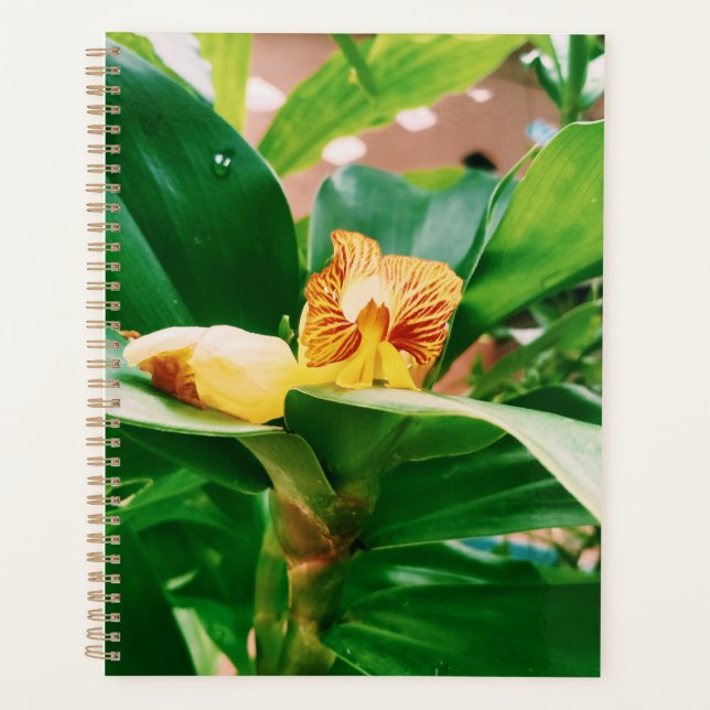 Agenda Frota Flower de Fiery Costus (Frente)