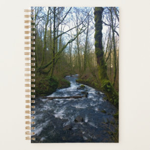 Agenda Fuga de Queda de Véu Bridal, OU