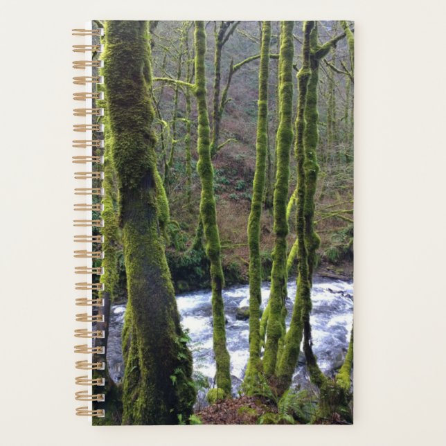 Agenda Fuga de Queda de Véu Bridal, OU (Frente)