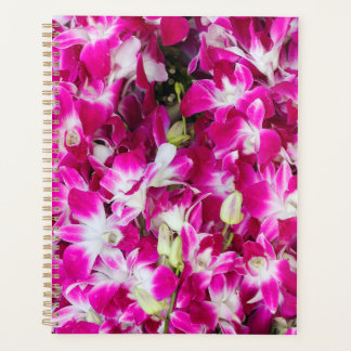 Agenda Fundo de orquídeas roxas