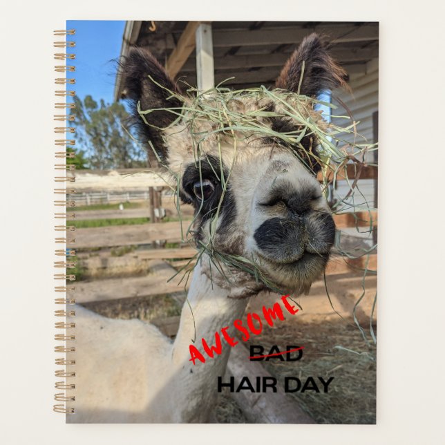 Agenda Funny Alpaca Planner (Frente)