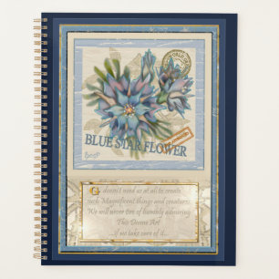 Agenda G. Flor azul do Instituto de Criação