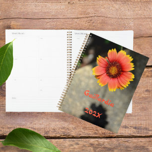 Agenda Gaillardia Girassol de Laranja e Amarelo