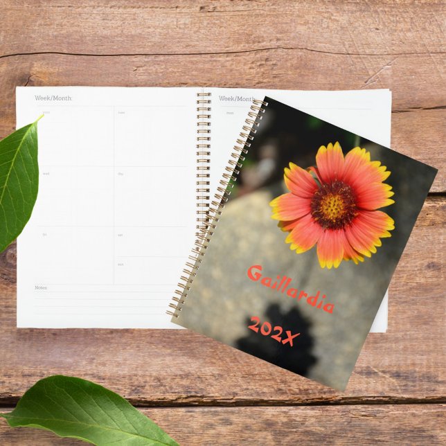 Agenda Gaillardia Girassol Laranja-Sol e Floral Amarelo (Criador carregado)