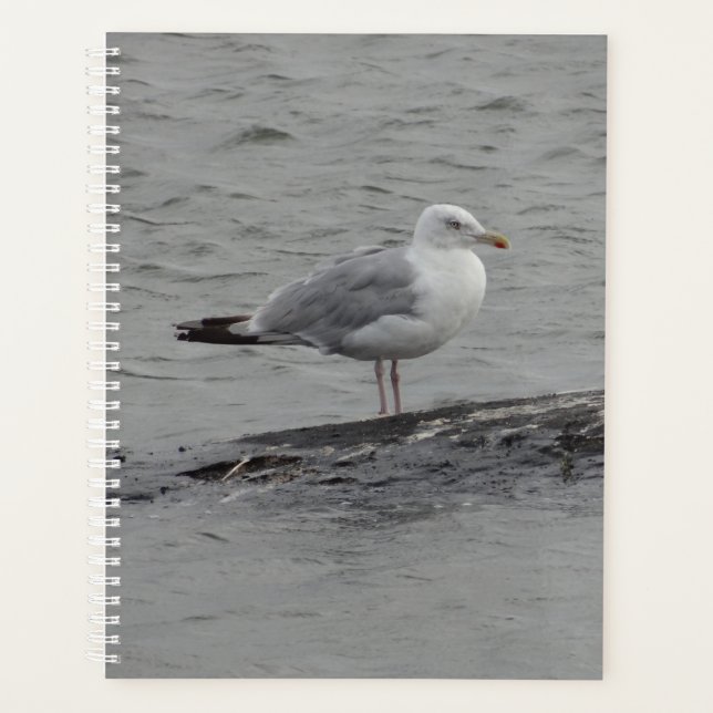 Agenda Gaivota grande (Frente)