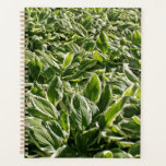 Agenda Garden Green Leaves Father's Day Plant Dad Gift<br><div class="desc">Printed with beautiful and colorful hosta plant leaf patterns in green white background!</div>