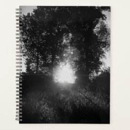 Agenda Gate to heaven 