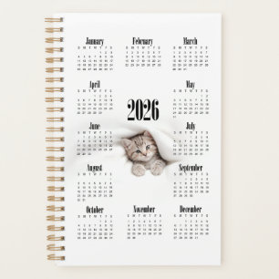 Agenda Gatinho