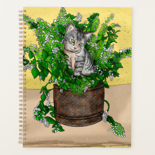 Agenda Gatinho cinza em Balde de catnip