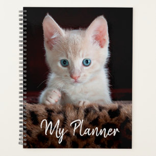 Agenda Gatinho Gato