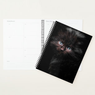 Agenda Gatinho Preto
