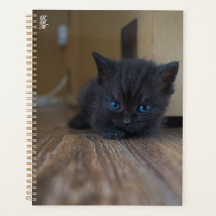 Agenda Gatinho Preto
