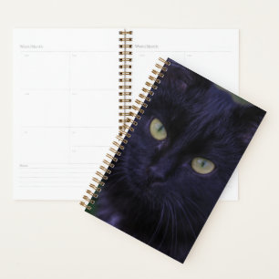 Agenda Gatinho Preto Funky Fofo Olhos Amarelos