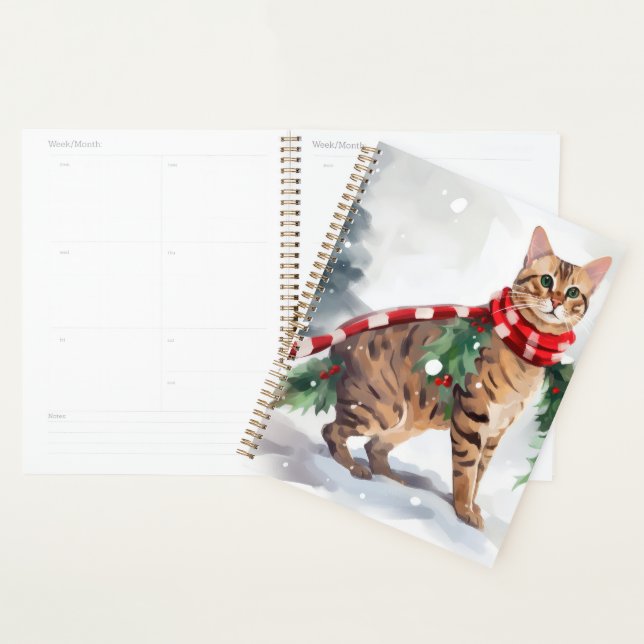 Agenda Gato Bengala no Natal da Neve (Exibição)
