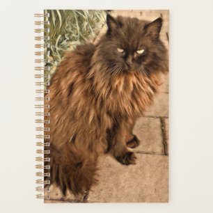Agenda Gato bonito