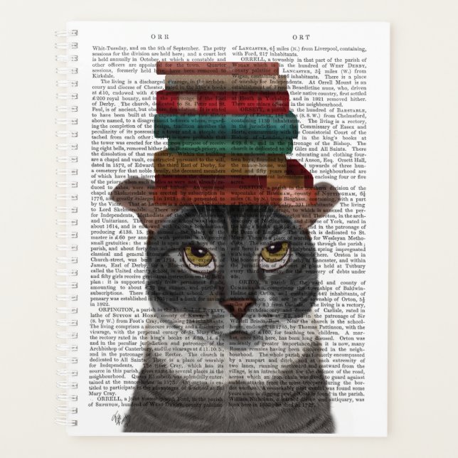 Agenda Gato cinza com Livros na Cabeça (Frente)