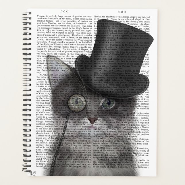 Agenda Gato de cinza com Chapéu Superior (Frente)