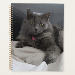 Agenda Gato de Cinza pintado para o taco