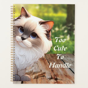 Agenda Gato de Himalaia giro em torno do gato
