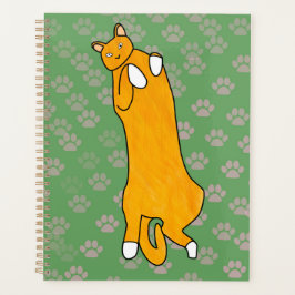 Agenda Gato laranja deitado de costas