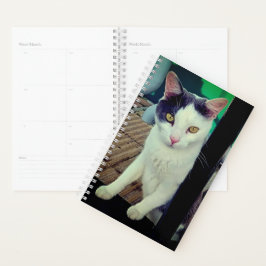 Agenda Gato preto e branco