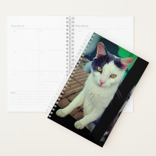 Agenda Gato preto e branco