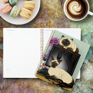 Agenda Gatos Tailandeses de Escritório de Computador Dive